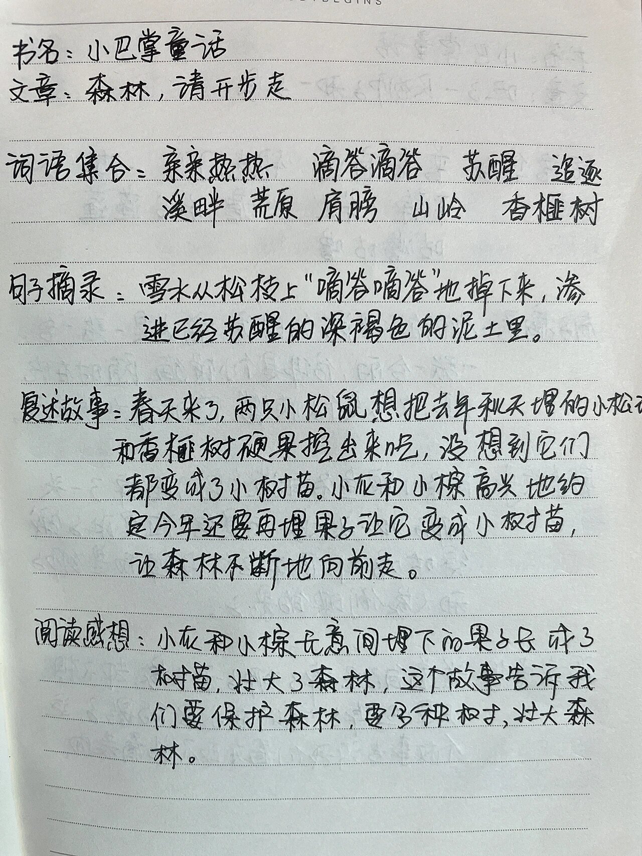 小巴掌童话之森林,请开步走99读书笔记 只是想要埋藏好果实,没成想