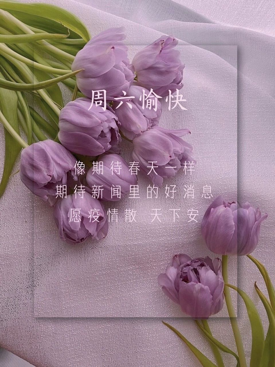 周六愉快 | 早安图 | 文案 | 朋友圈美学 | #把春天搬进家# #春日漫游