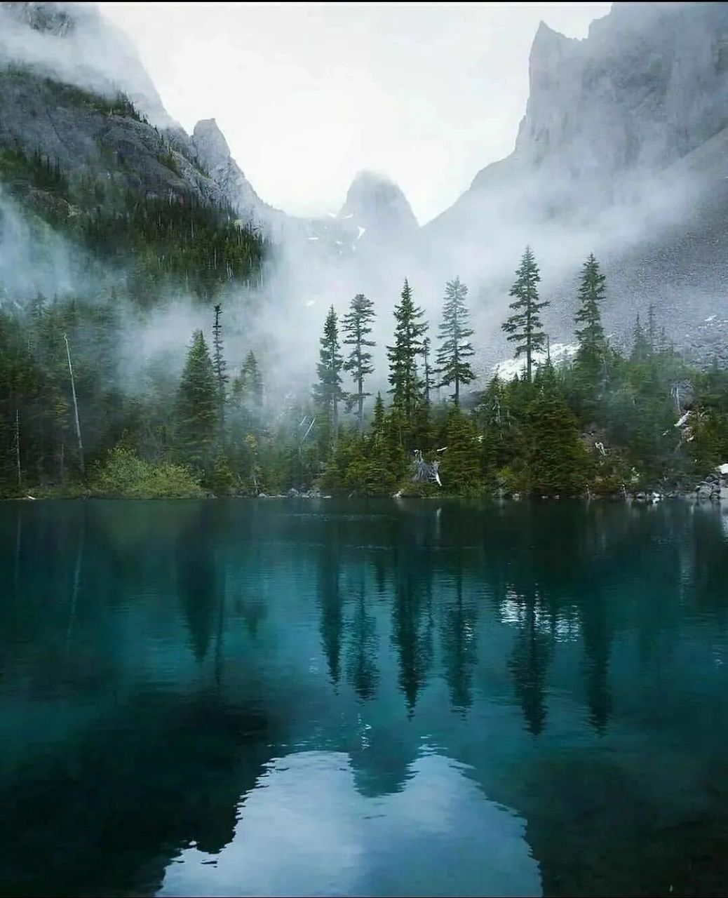 奥林匹克国家公园 华盛顿州 美国🇺🇸 奥林匹克国家公园位于