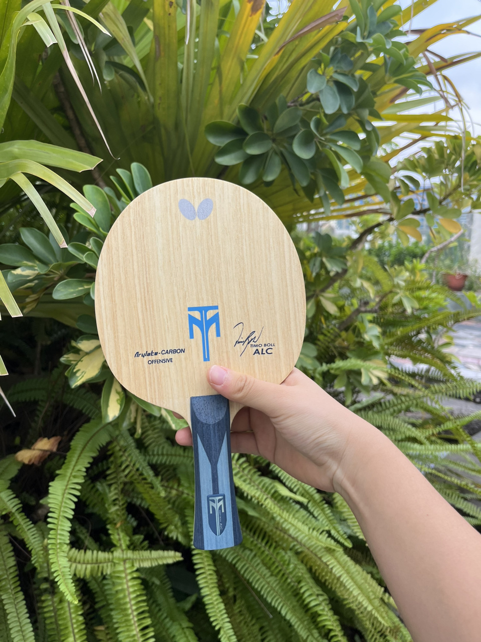 我心目中的乒乓球拍颜值天花板 波尔alc!