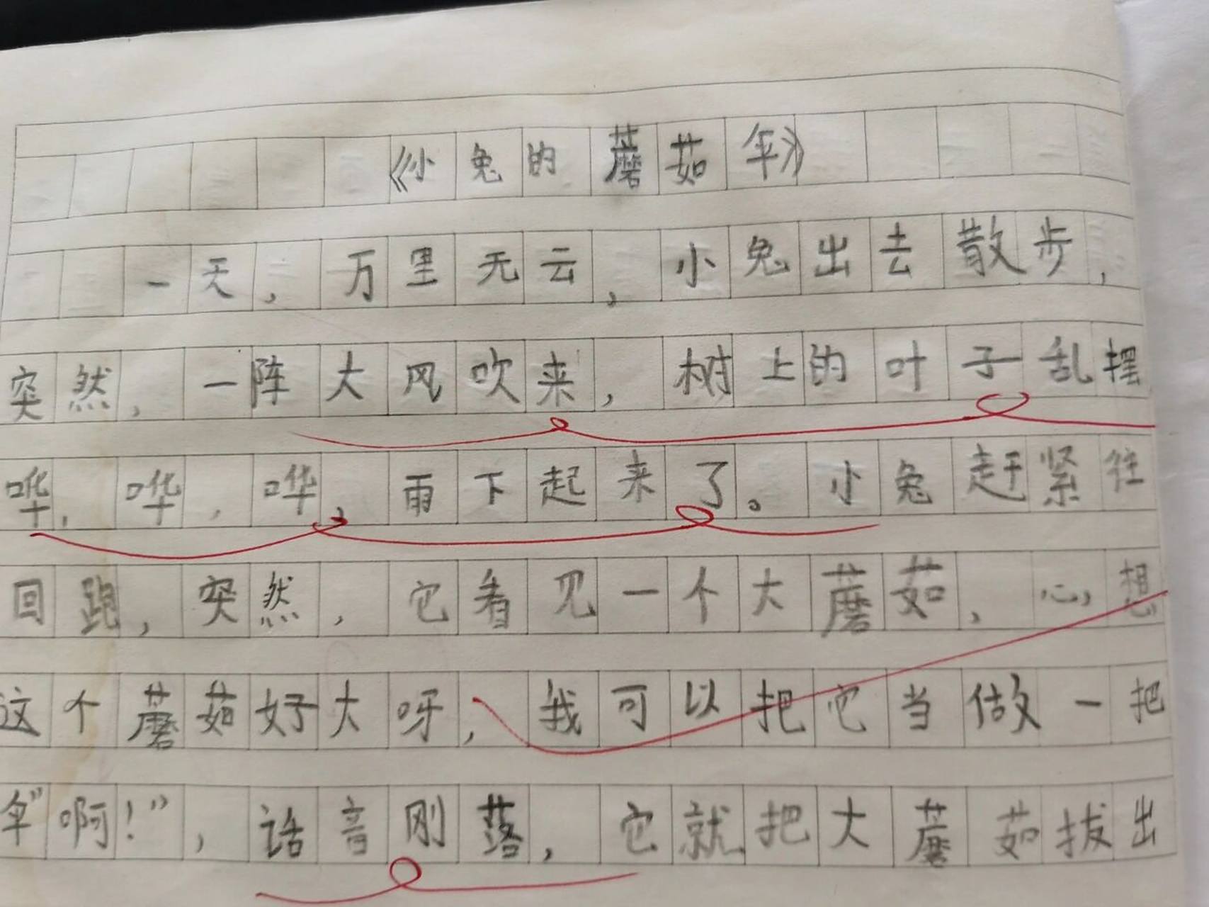 二年级下 看图写话《小兔的蘑菇伞》96 《小兔的蘑菇伞》