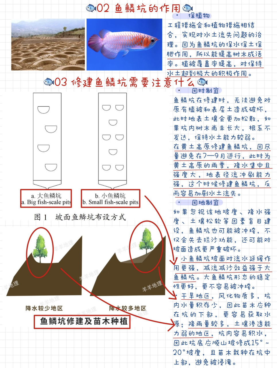 7815鱼鳞坑!黄土高原离不开它!