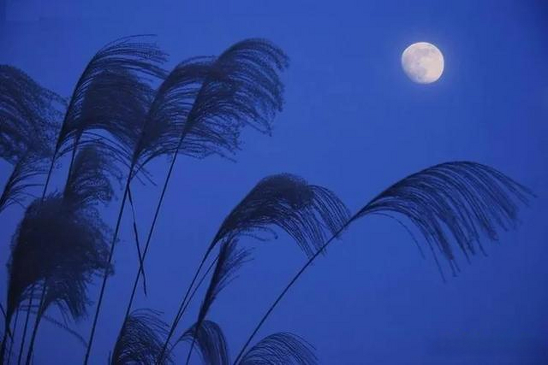 晚风吹人醒,万事藏于心