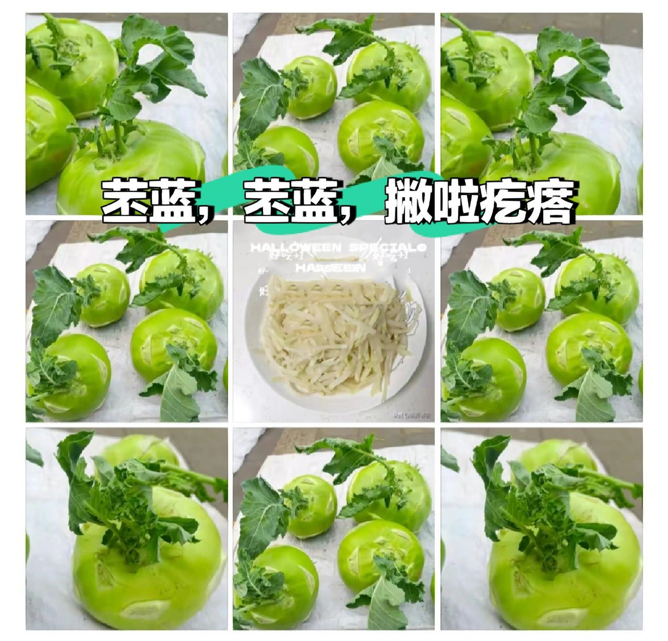 苤蓝,苤蓝,撇啦疙瘩 这种圆溜溜绿生生的菜疙瘩,你吃过吗?