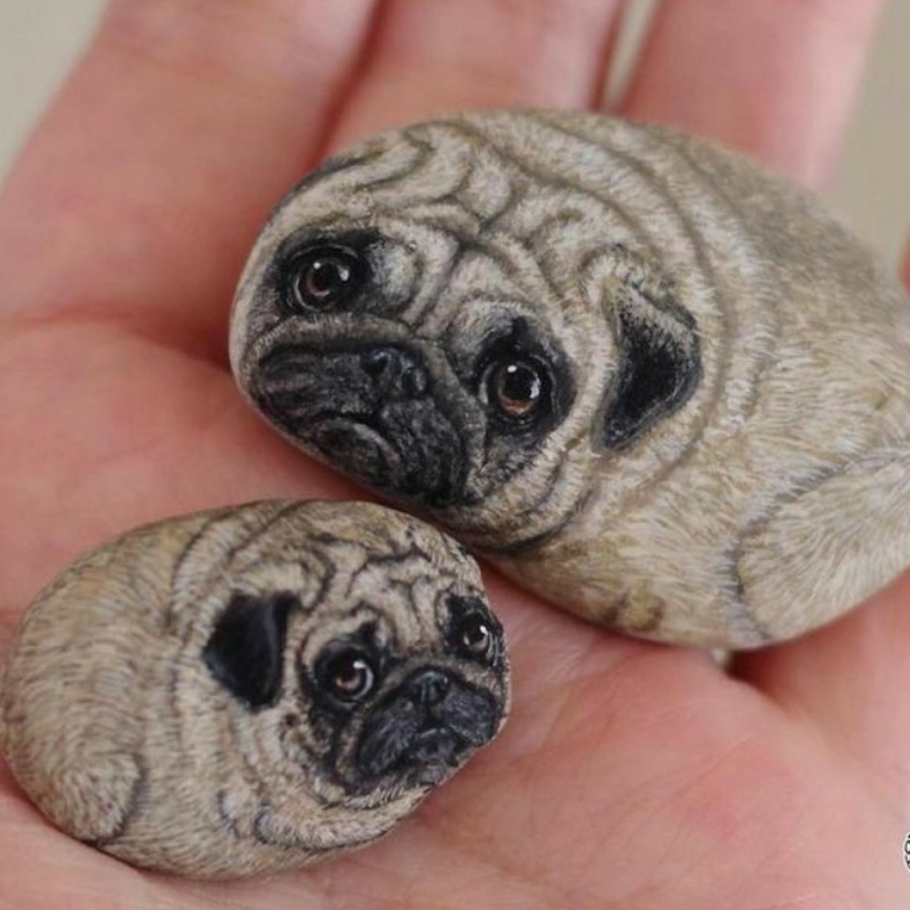 动物系列石头画组合 #diy手工制作