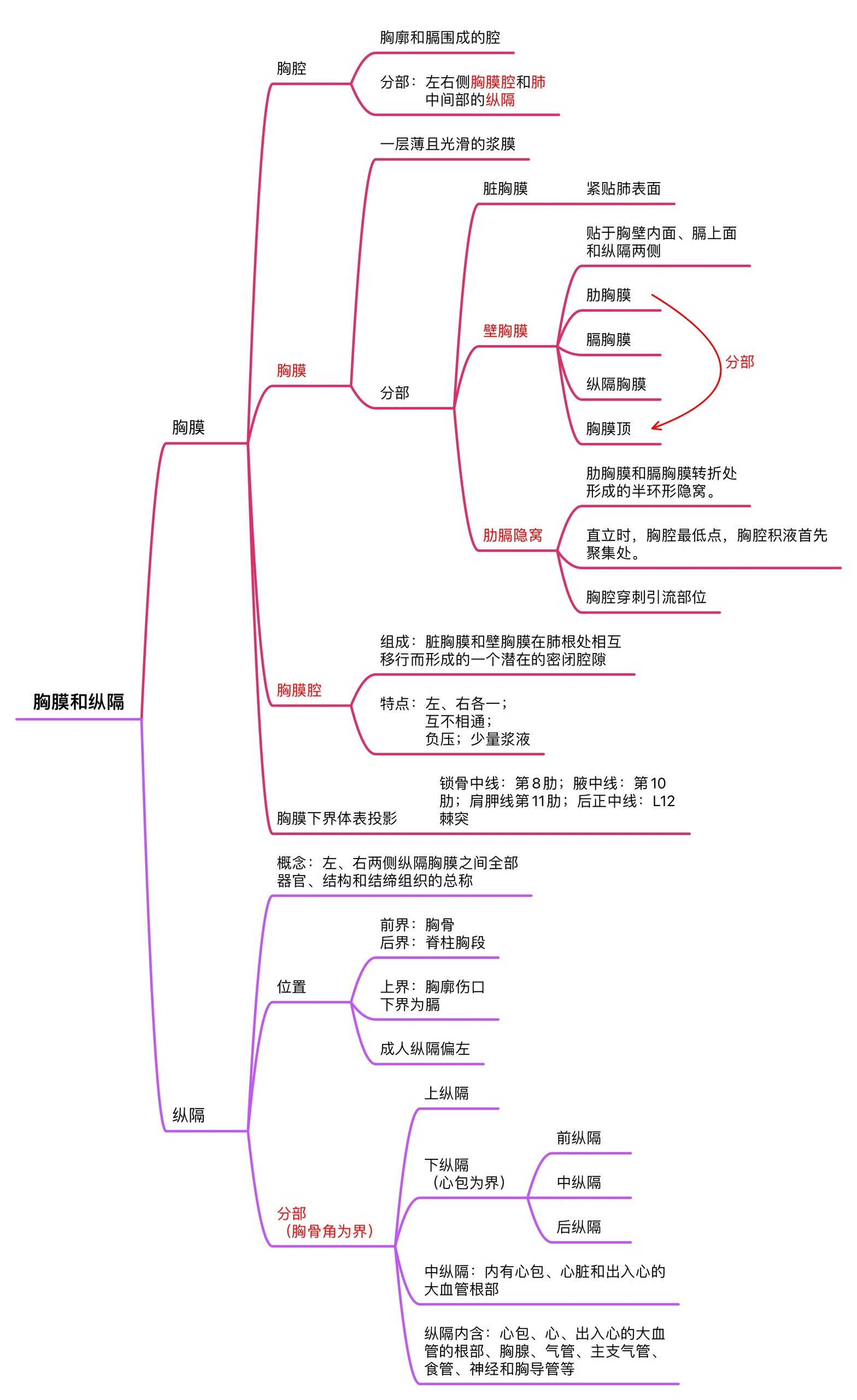 呼吸系统的全部思维导图来咯