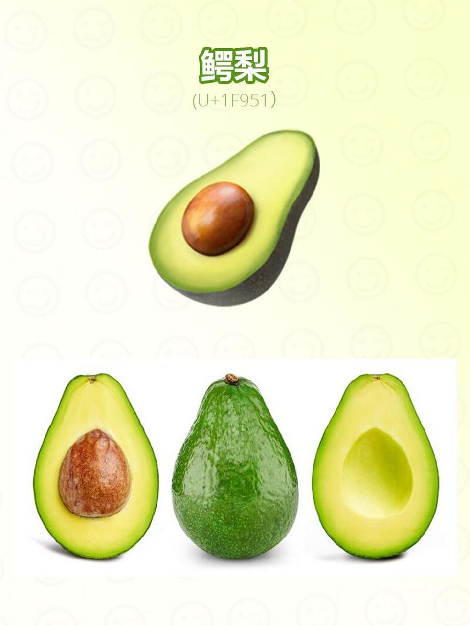 avocado是什么意思图片