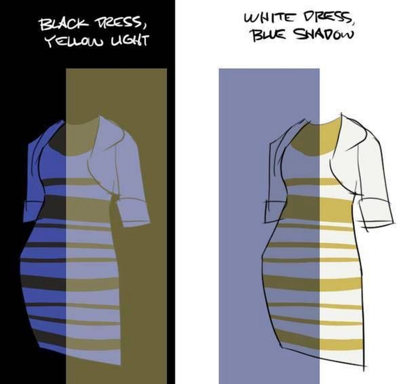 一次性解决裙子是蓝黑还是白金的问题