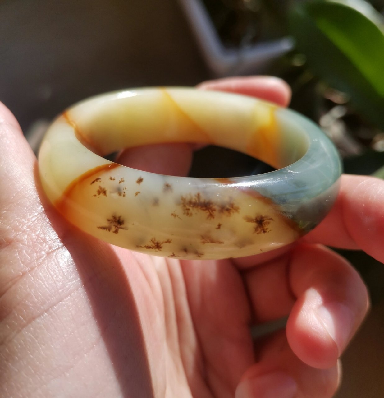 玉石王花玉水草多彩