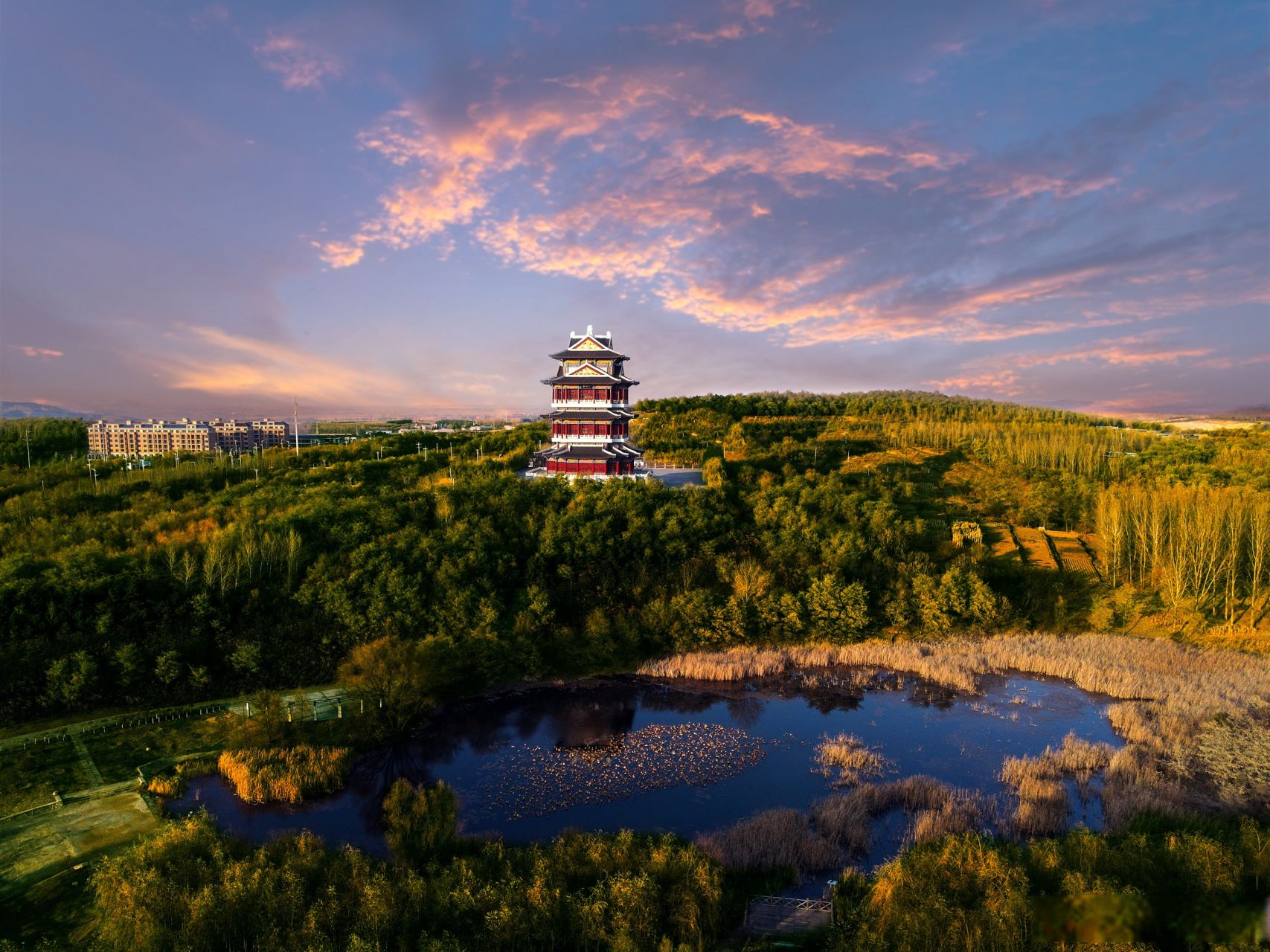 法库·白鹤楼 #发现沈阳之美