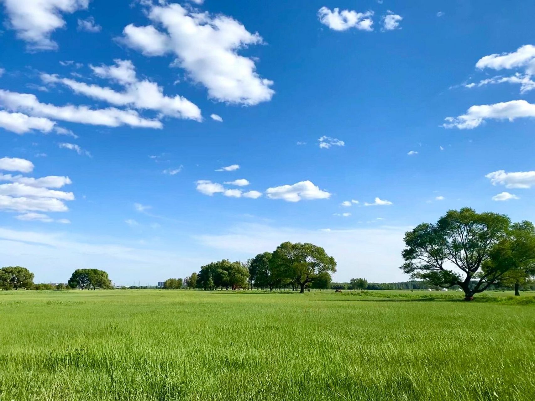 旅行|包头-赛汗塔拉城中草原 全亚洲最大的城中湿地草原 园中有各种