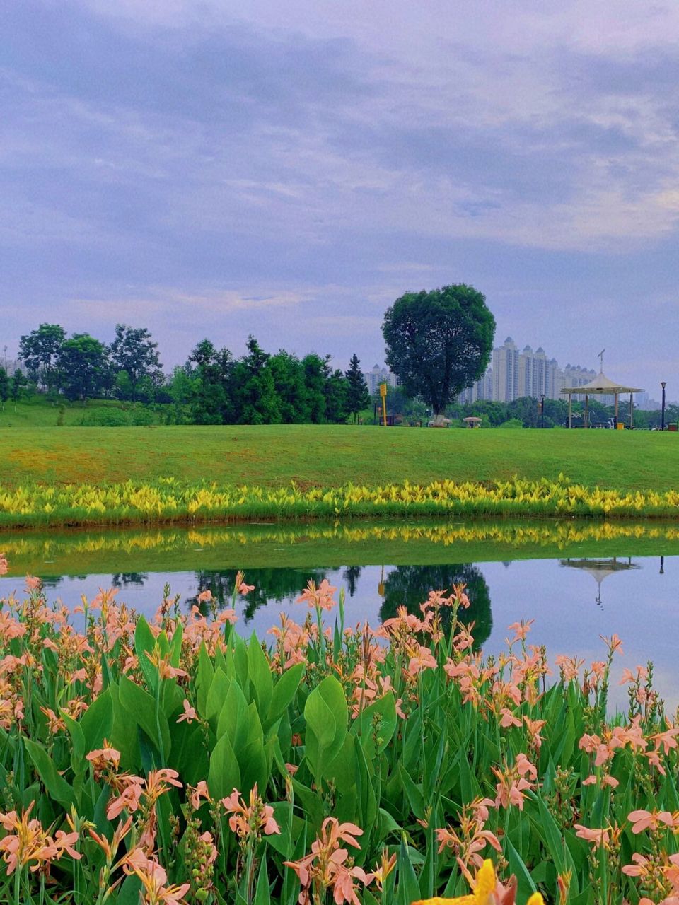 超美景点～长沙松雅湖湿地公园,都给我冲!   姐妹们都给我冲松雅湖!