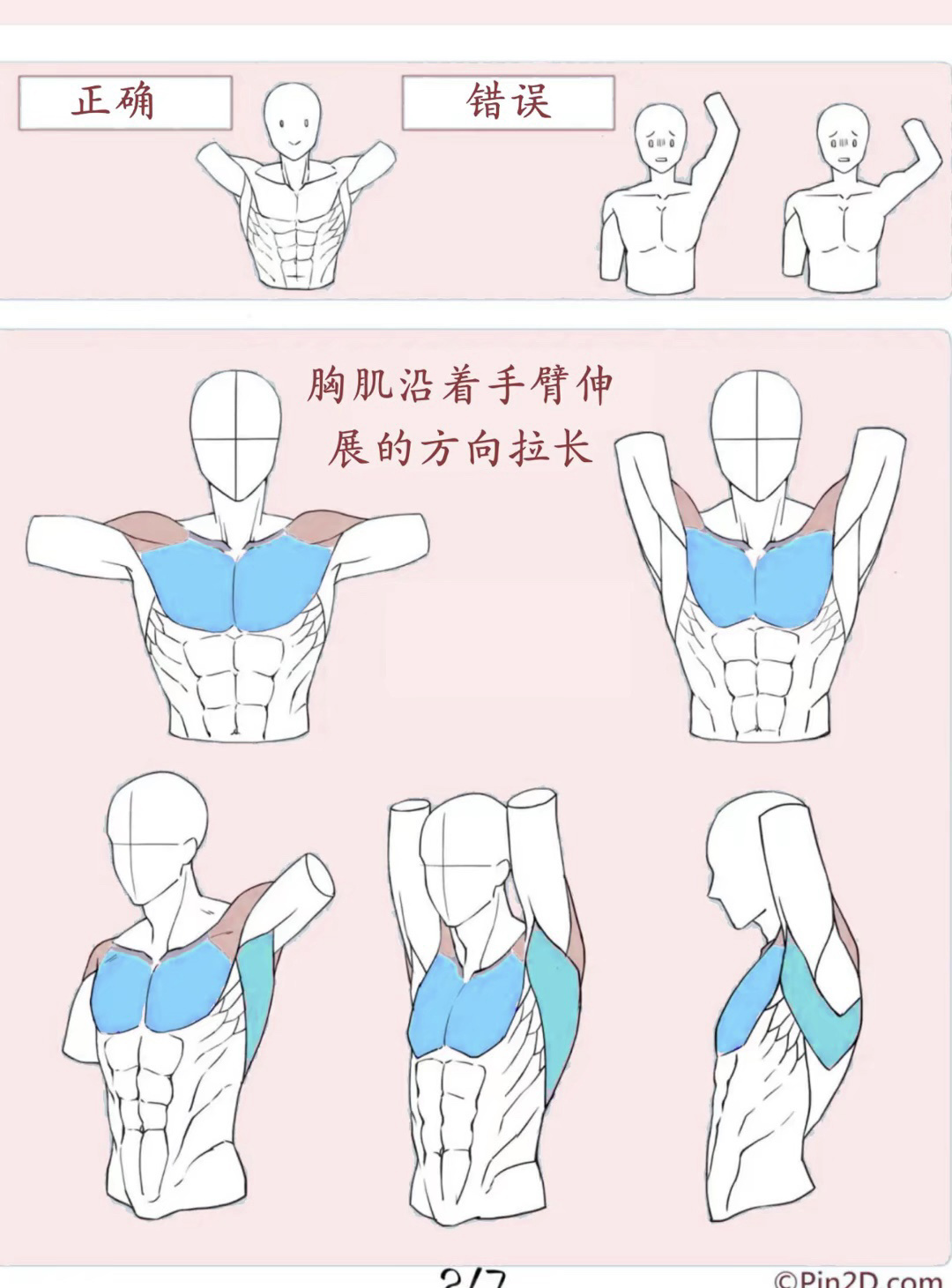 人体结构素材举手图片