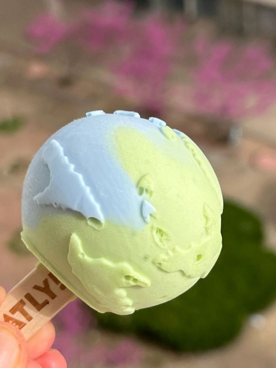 超市拿的,真正的地球冰淇淋是有版图的 之前好97的地球冰淇淋哪儿有