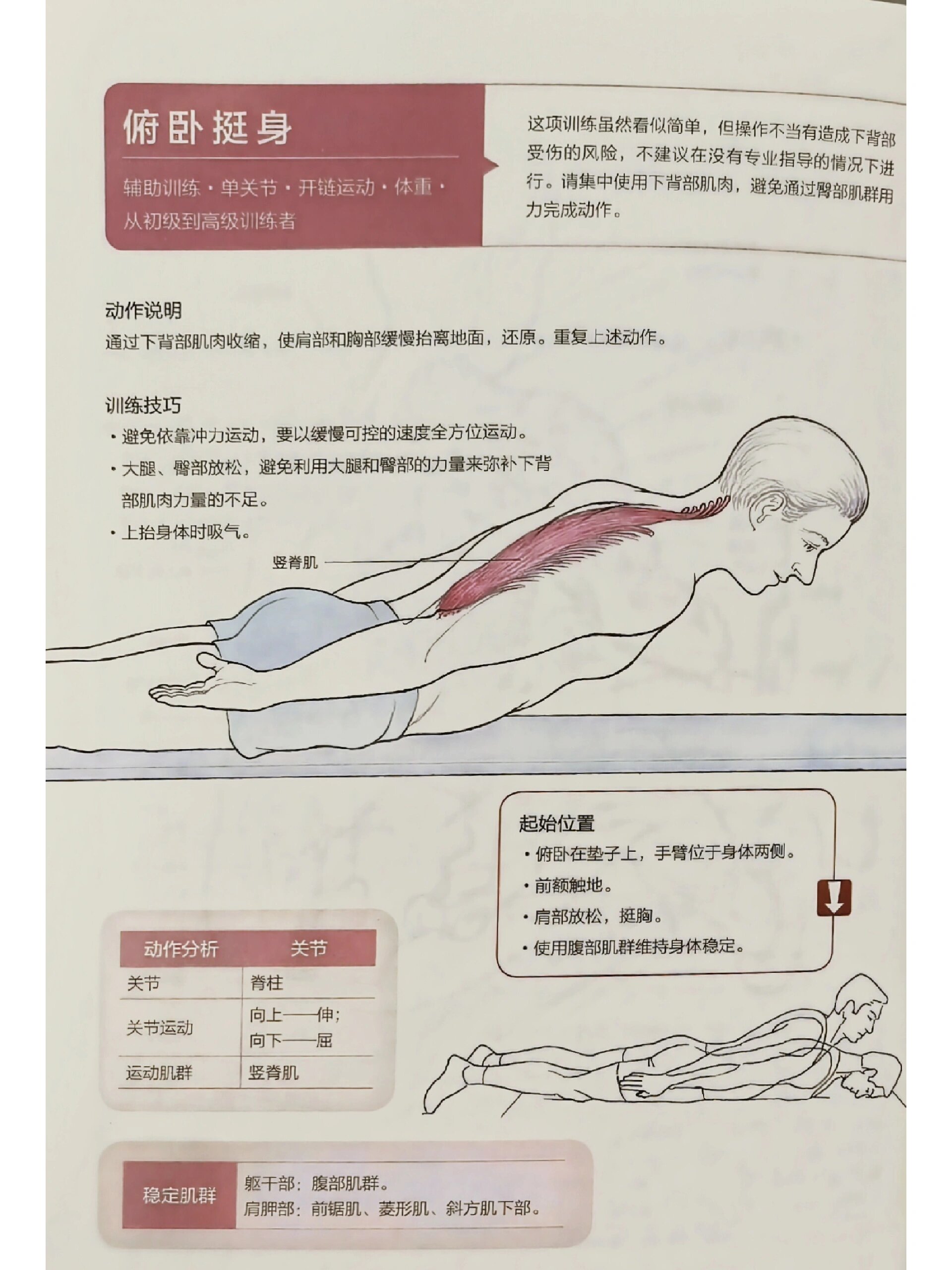 背部训练之俯卧挺身(小燕飞
