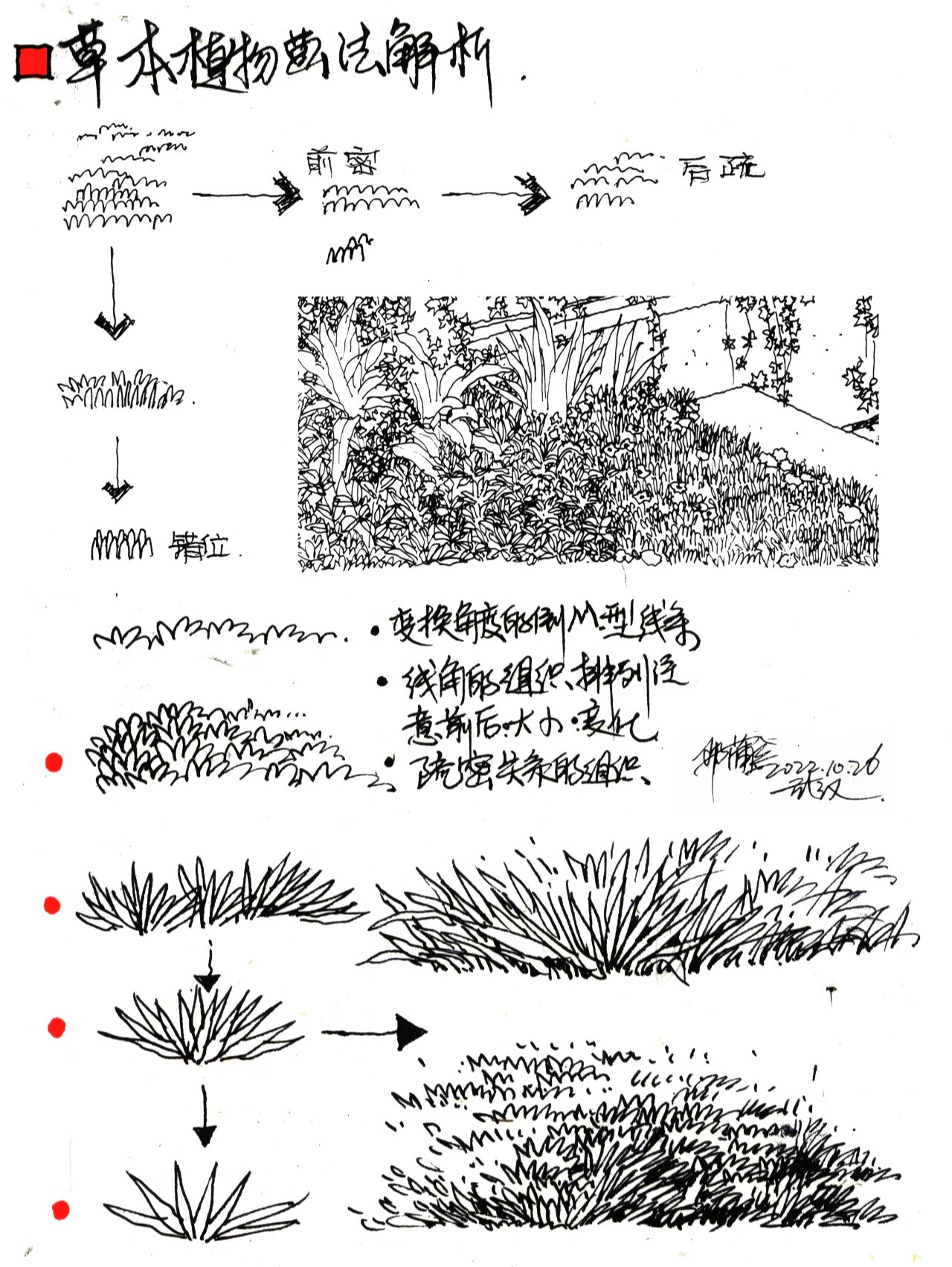 草丛的速写怎么画图片