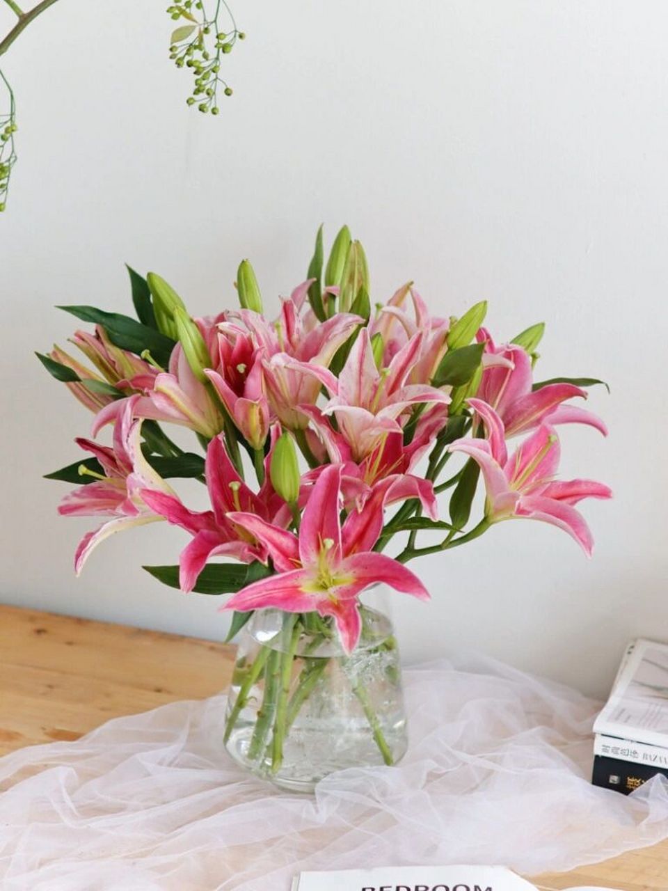 涨点新知识 | 西诺红百合 西诺红百合是红色系百合比较常见的一个品种