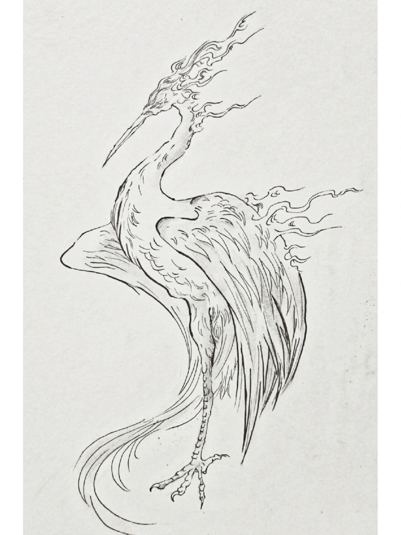 山海经异兽"毕方"线稿临摹