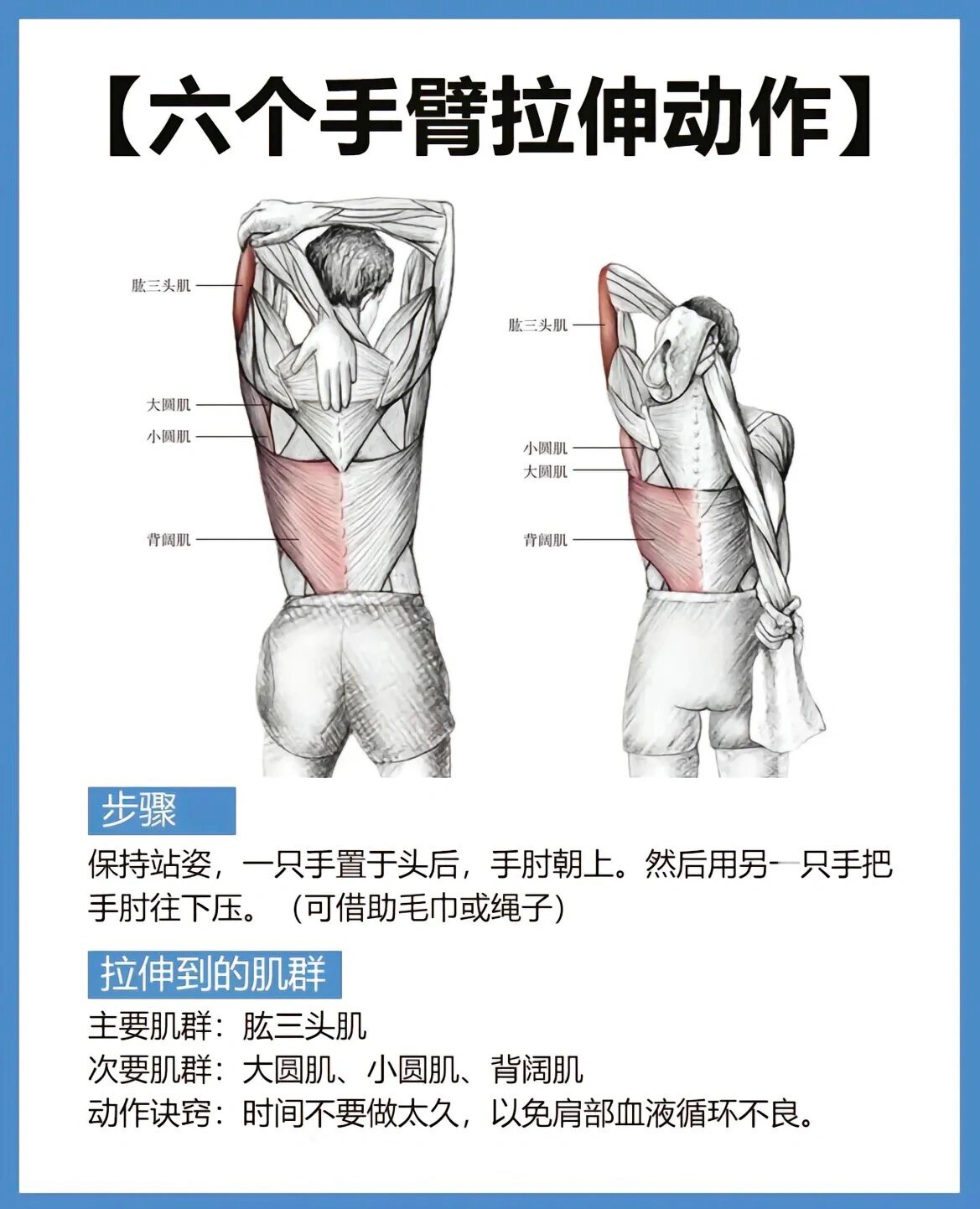 手臂肌肉锻炼方法图解图片