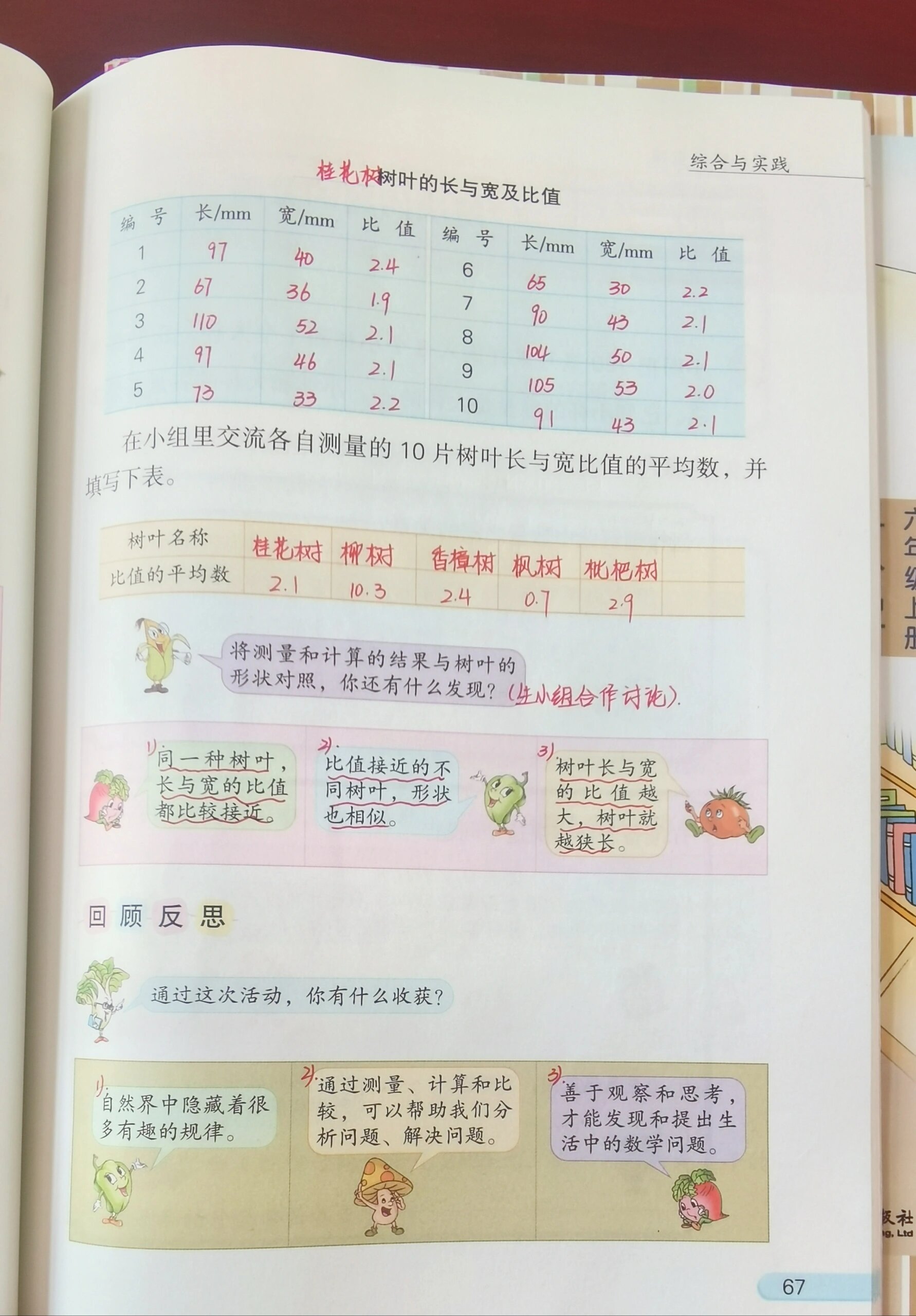 苏教版数学六上第三单元二次备课