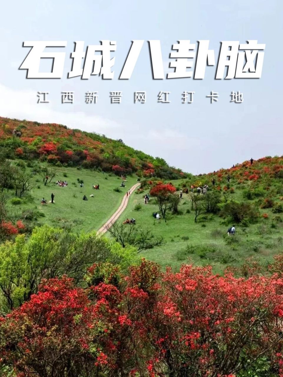 打卡江西最火网红地—石城八卦脑攻略74 江西最火网红打卡地--石城