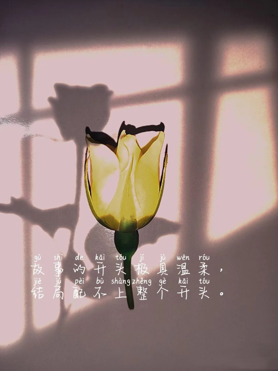 一件小事对老公失望透顶了～ 这几天很老公吵架了,他习惯的开启了冷战