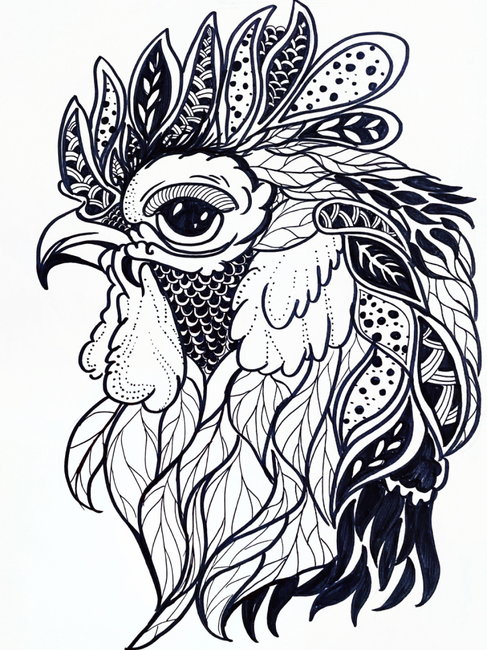 动物线描 课件名称:《鸟类线描》 适合年龄:8-12岁 课件素材:鸟 羽毛