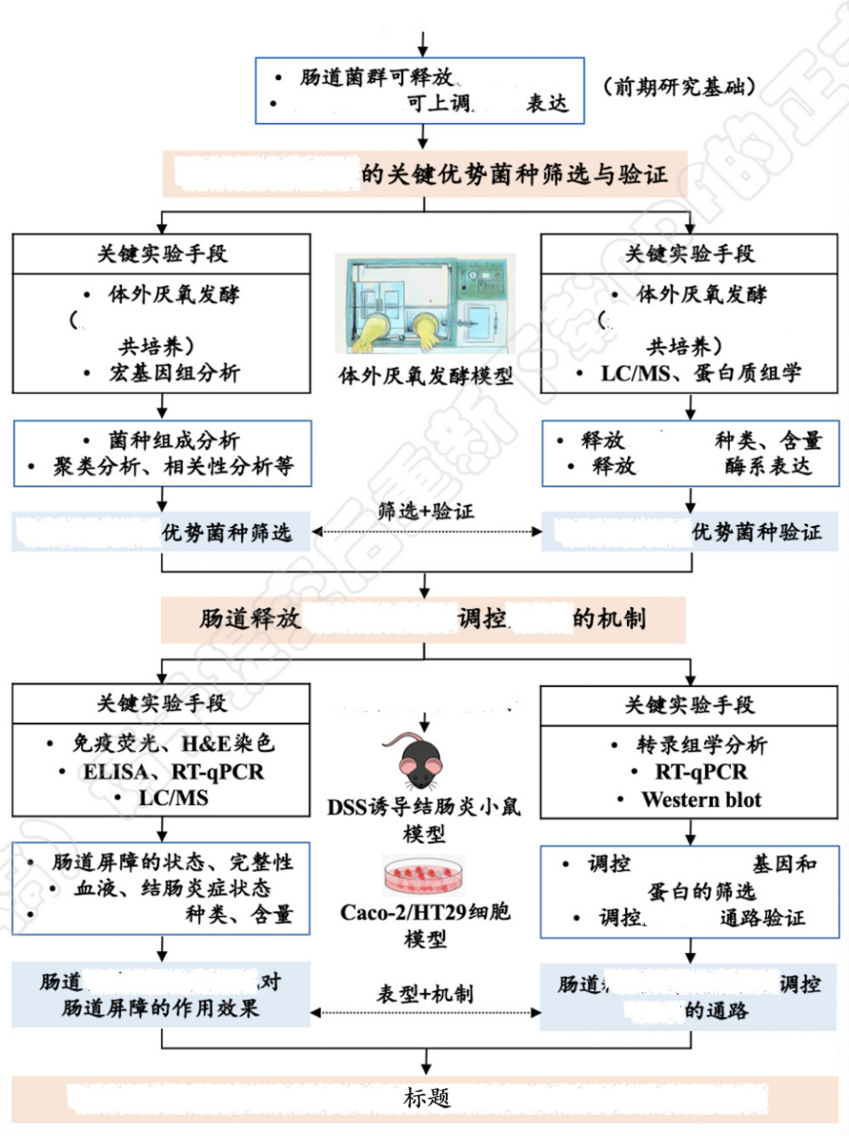 国自然青基技术路线图怎么画?