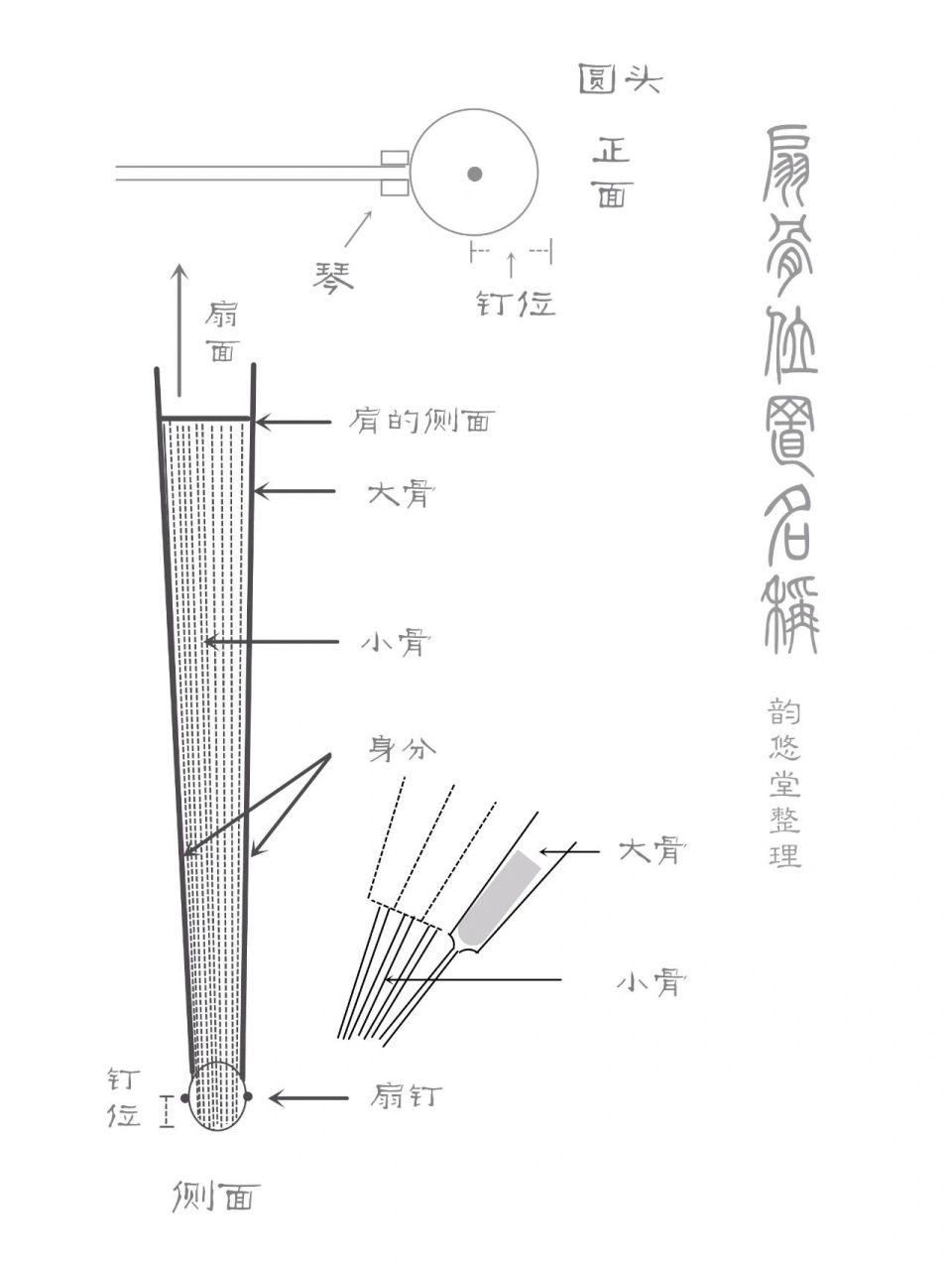 折扇小知识 位置名称 折扇一名"聚头扇",用则撒开,收则折叠,故又称"撒