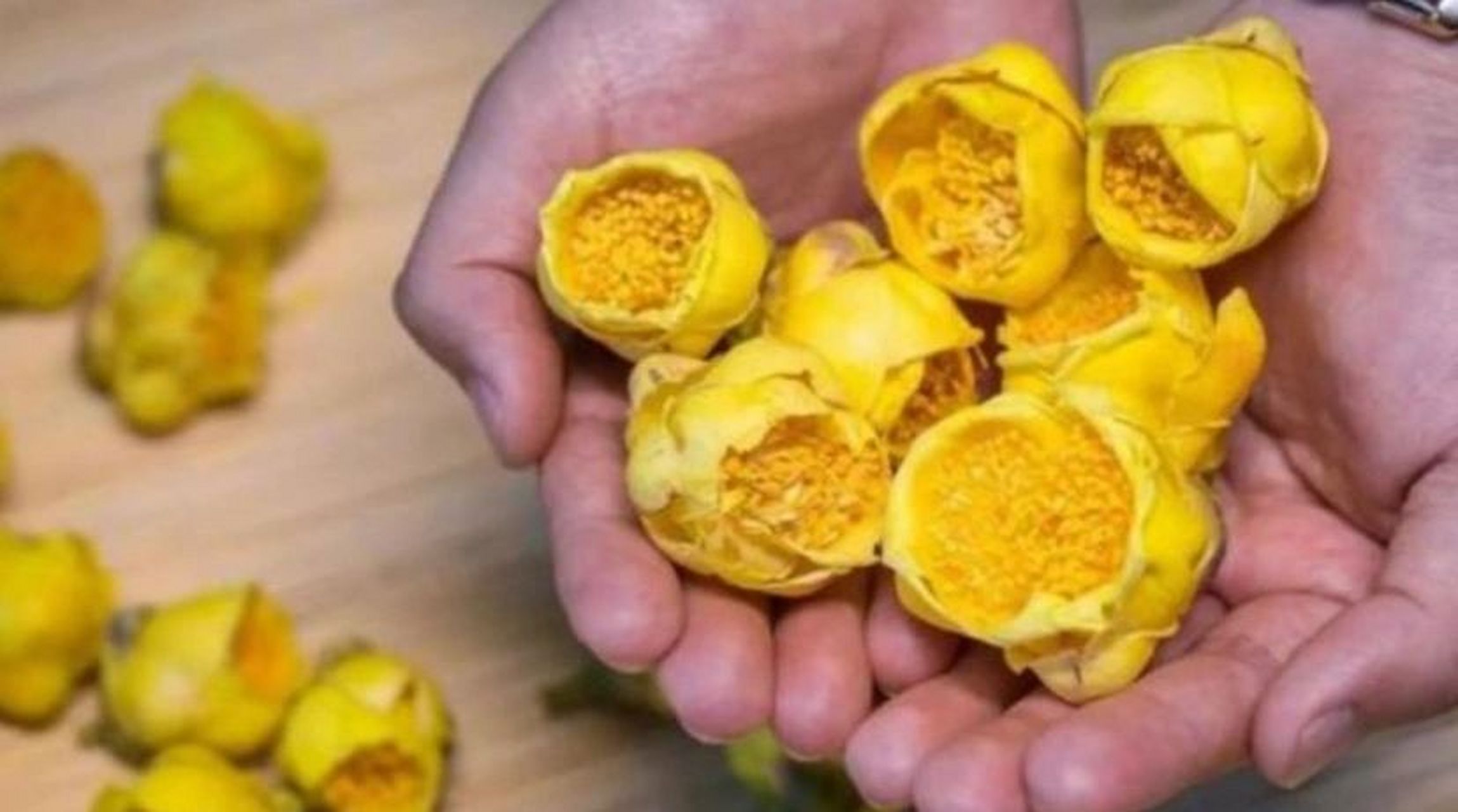 黄金花茶的功效与作用 黄金花茶的功效为促进代谢,消暑解热,调整情绪