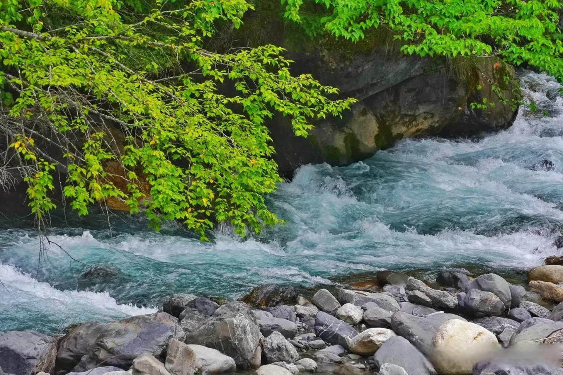 自然的山水画卷   美景如画 绿水青山 小溪潺潺 树木茂密