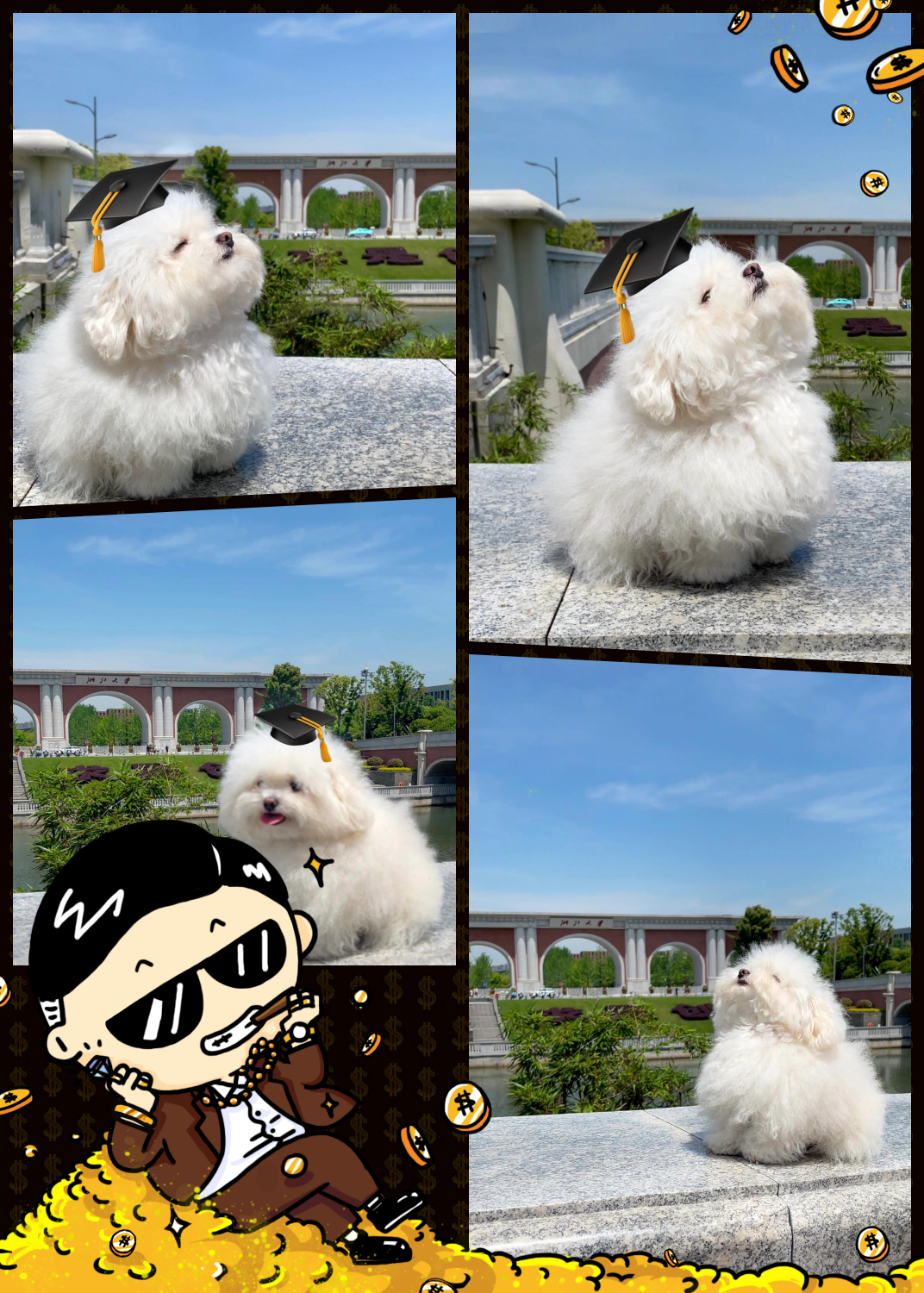 快来对它说声:"谢谢你,上岸小狗!
