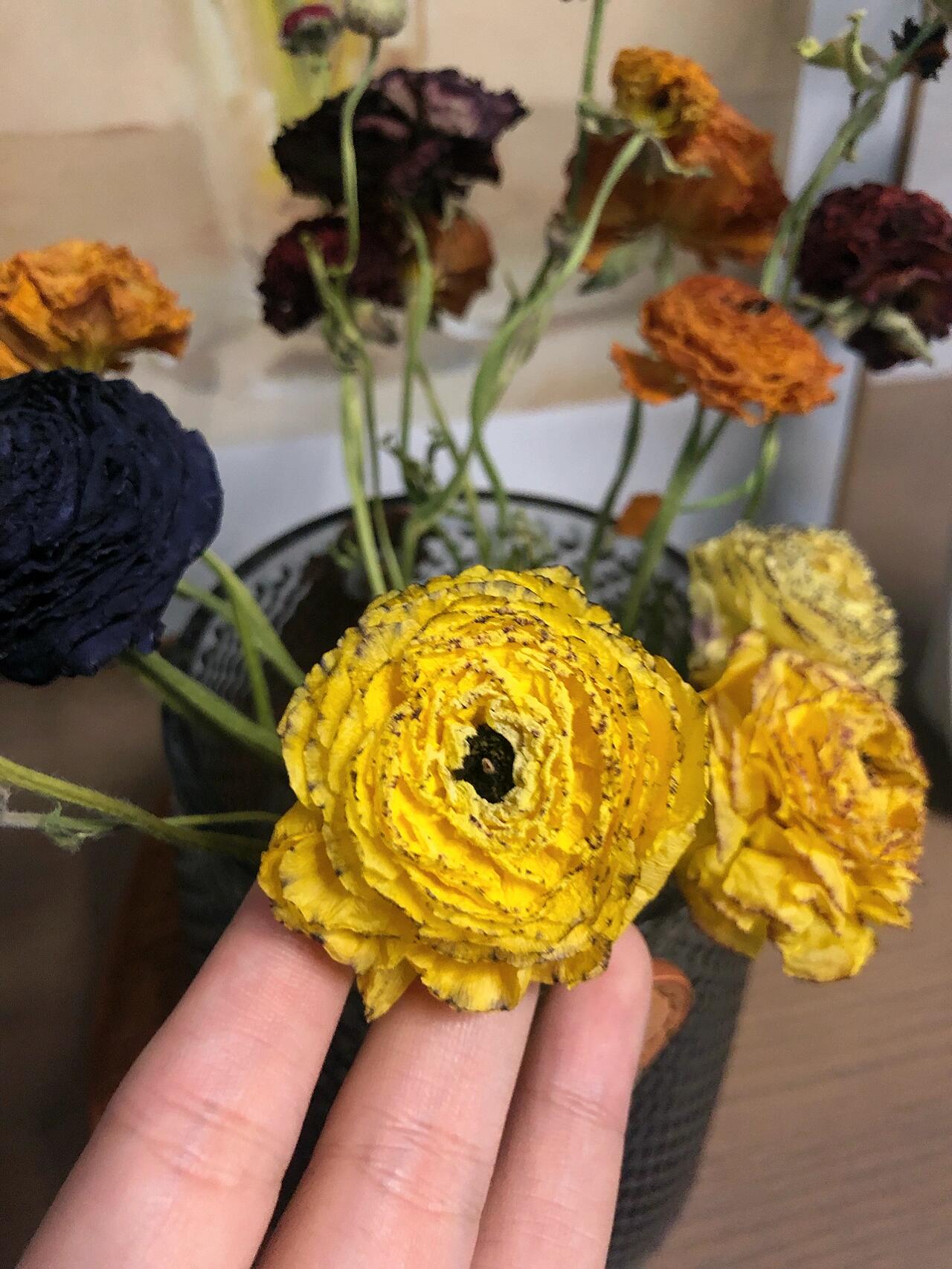 复古好看 第一次晒洋牡丹的干花耶,算是成功了吧!