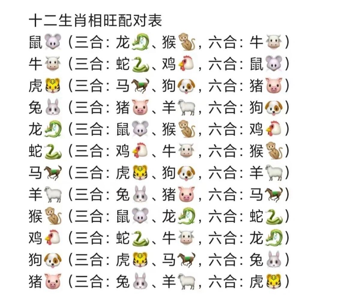 生肖兔近日运势查询表大全(生肖兔人今日运势运程)