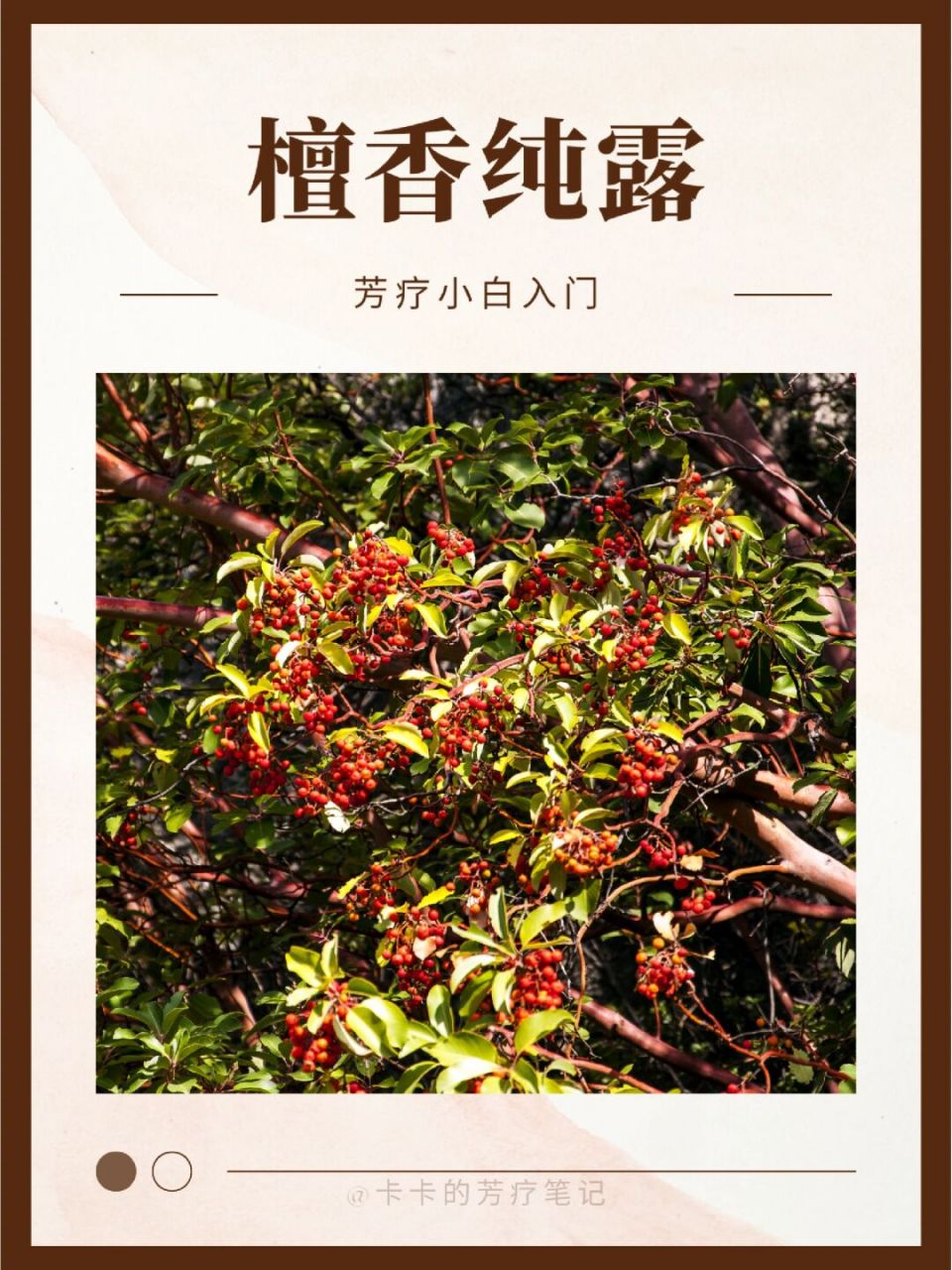 檀香纯露,补水护肤安心宁神!