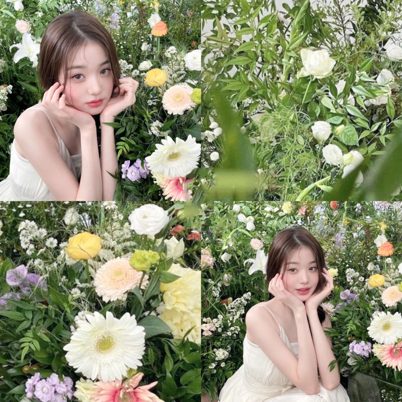 张元英头像|套图