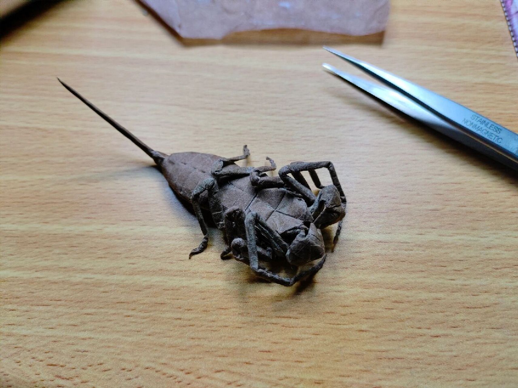 折纸鞭蝎      48等分蛇腹,最后一张是cp图