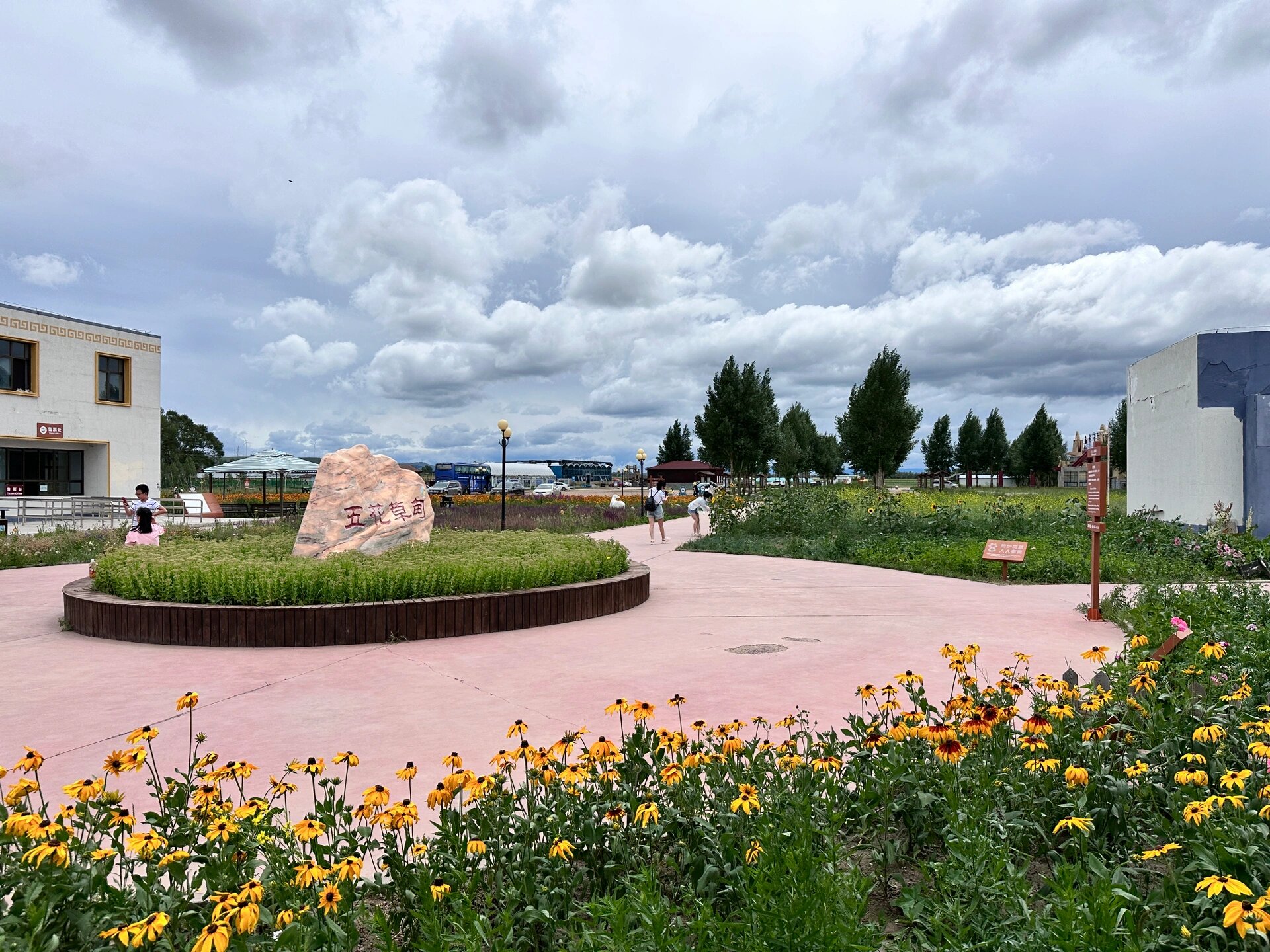 五花草甸 张家口 沽源县 因台风降雨导致高速封闭,走下路延长了半个