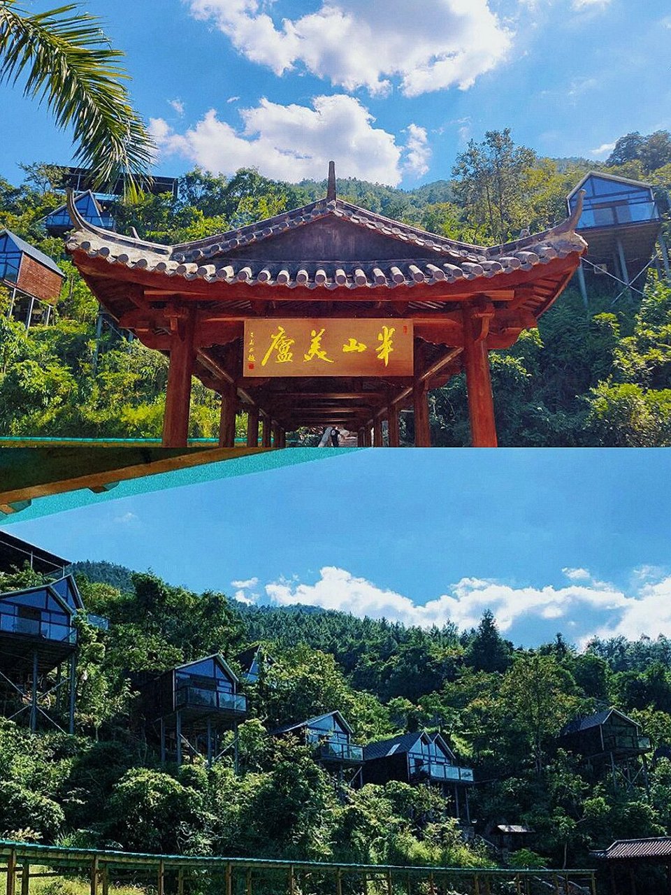 洛江石龙谷森林公园·超好玩的森林之旅 · 这里的森林98覆盖率为