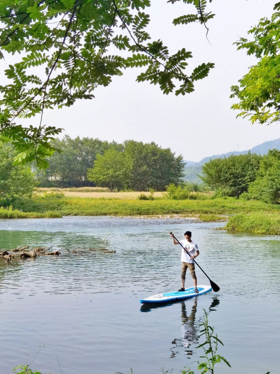 春日露营计划 | 瑞安湖岭·彭埠村 99瑞安湖岭镇鹿木乡的彭埠村(就