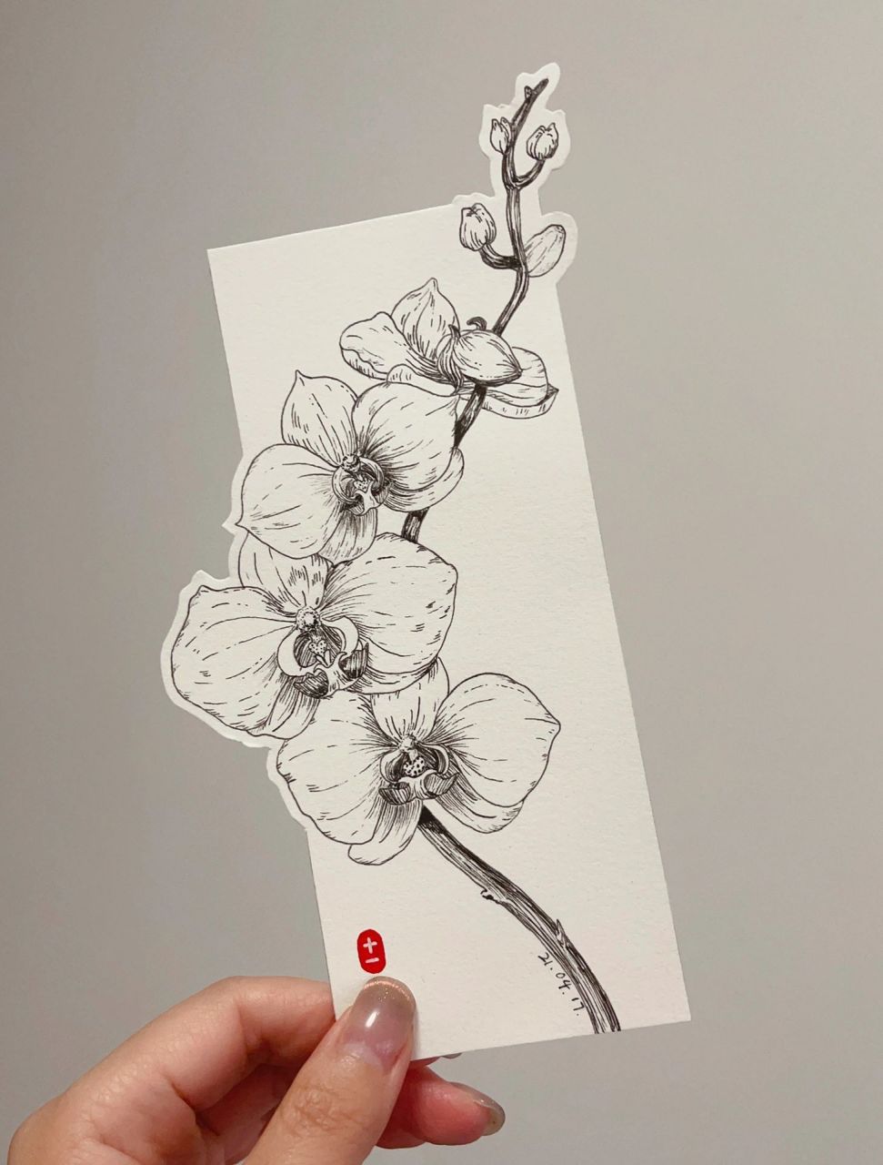 简单易上手的黑白线描画书签～蝴蝶兰 制作书签小妙招当你没时间画画