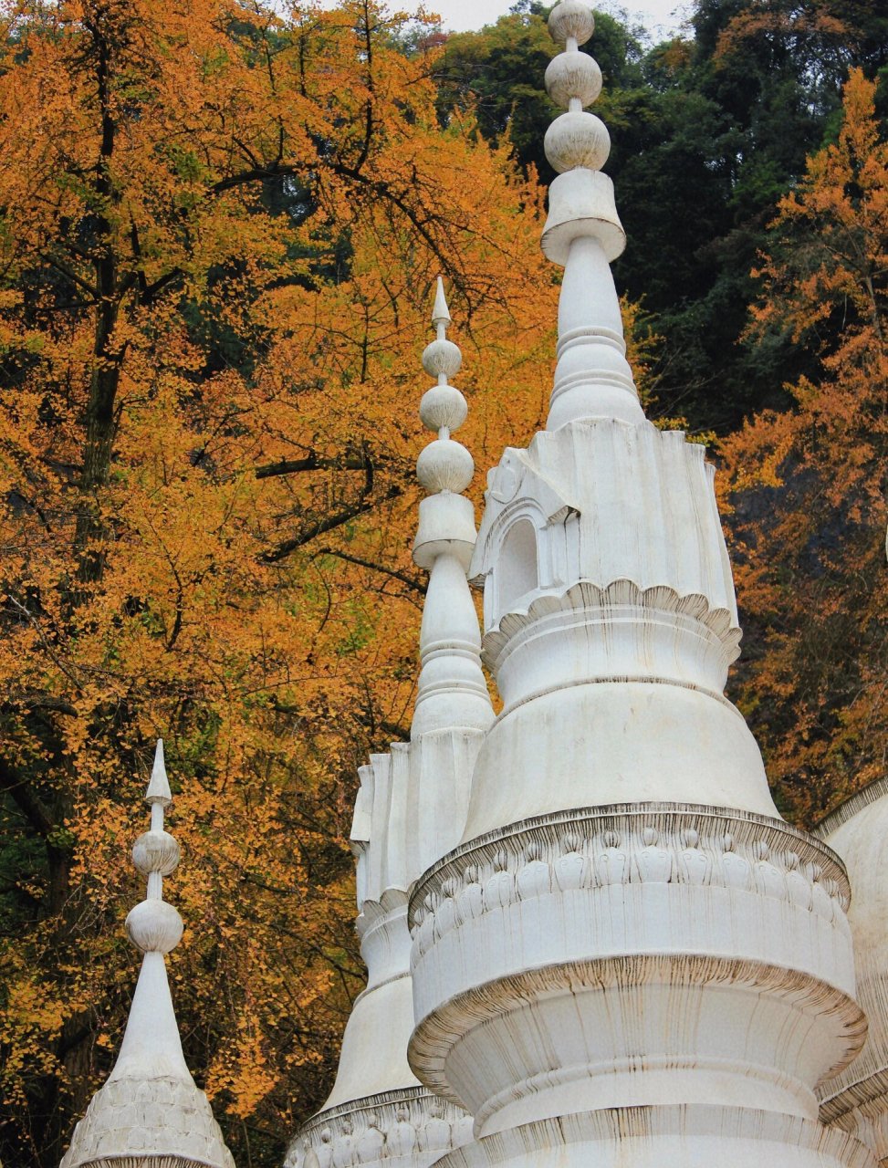 白岩寺 千年银杏·藏地佛寺 成都周边游|白岩寺 千年银杏·藏地佛寺