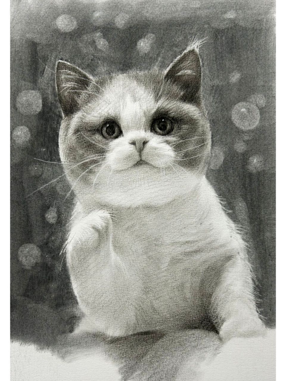 素描猫咪怎么画图片
