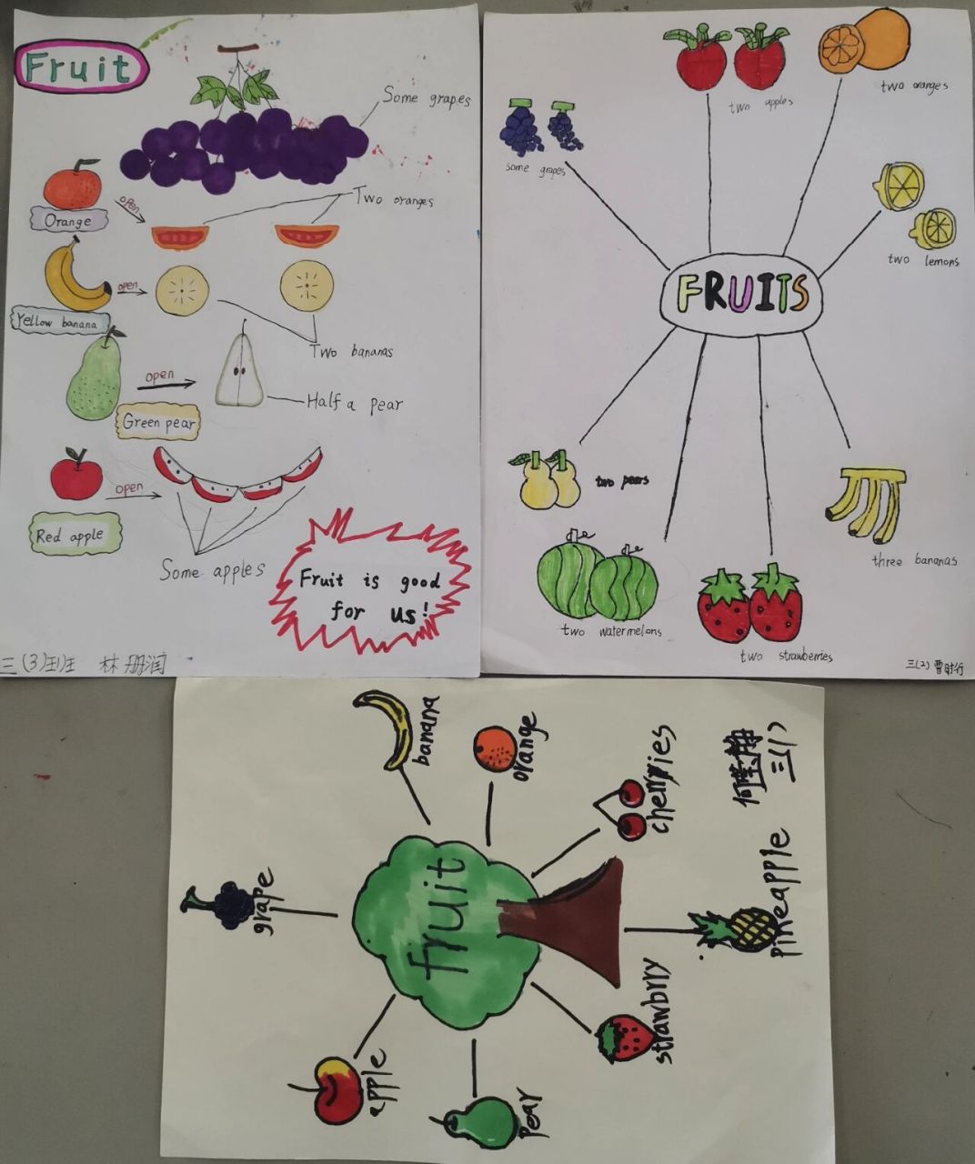 三年级英语水果思维导图 水果