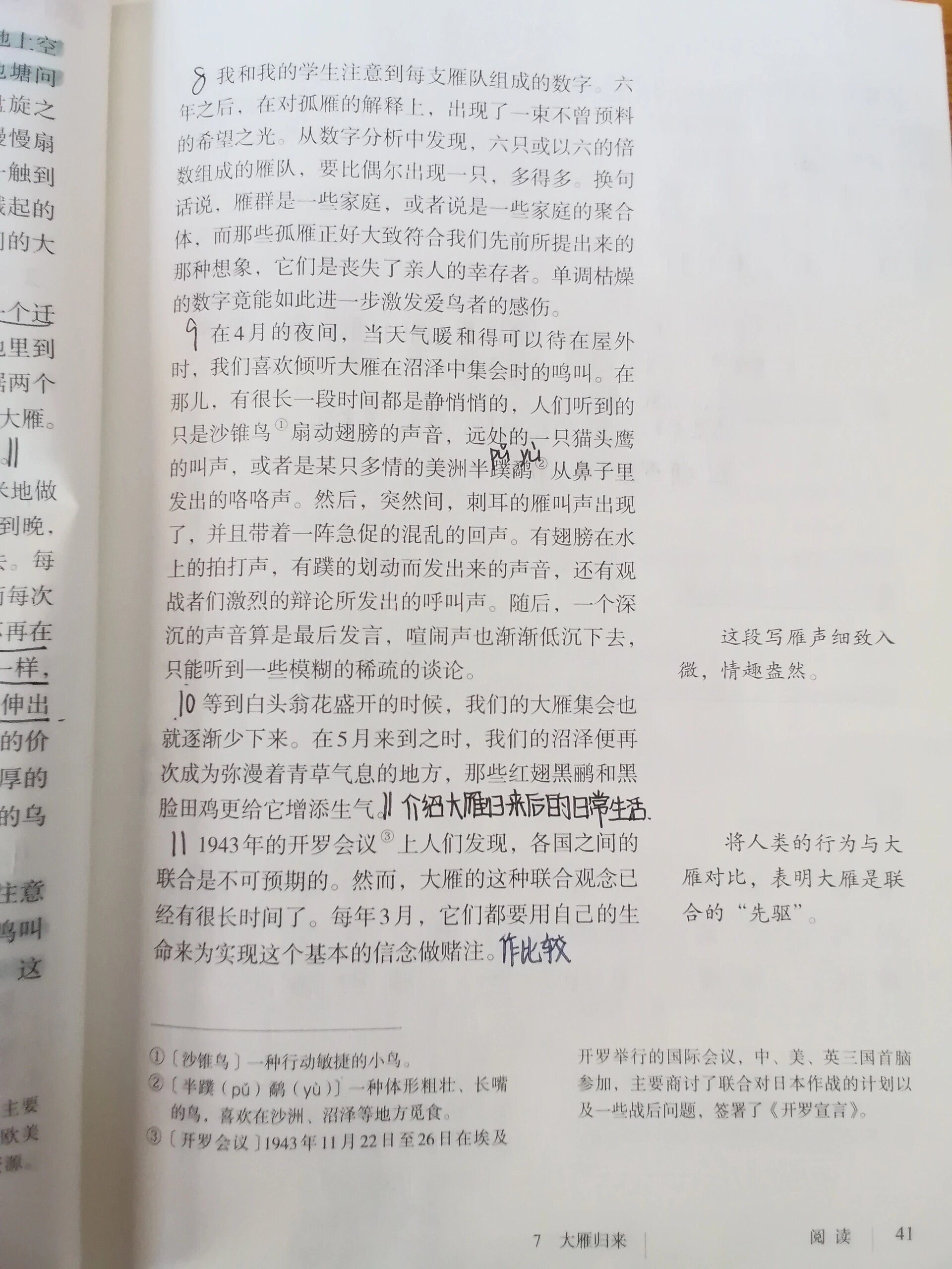 八年级下册语文《大雁归来》课堂笔记     后面附带结构图解!
