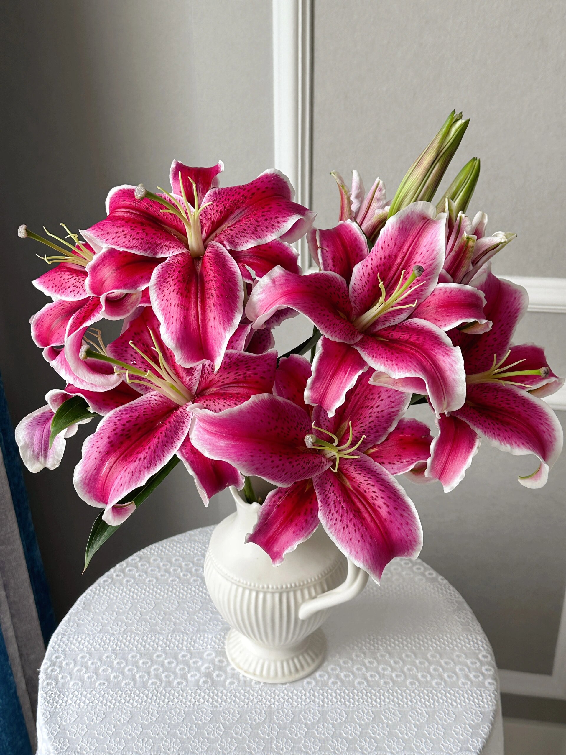 卡瓦娜百合(黑美人) 好像没多少人喜欢她呢我挺喜欢的,很贵气的样纸