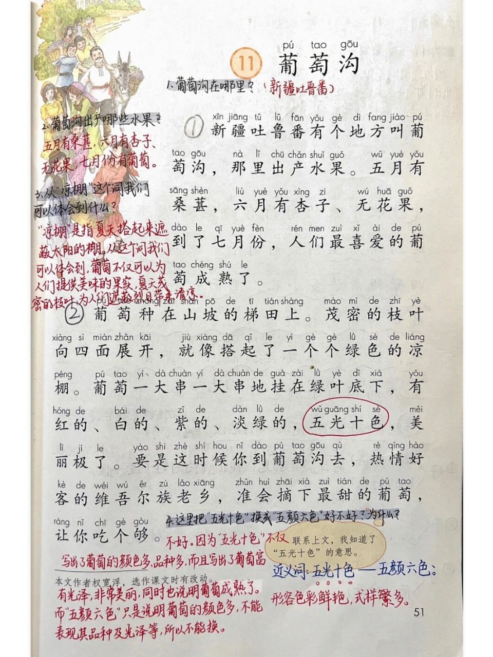 《葡萄沟》99 #渔沅备课# #小学语文备课