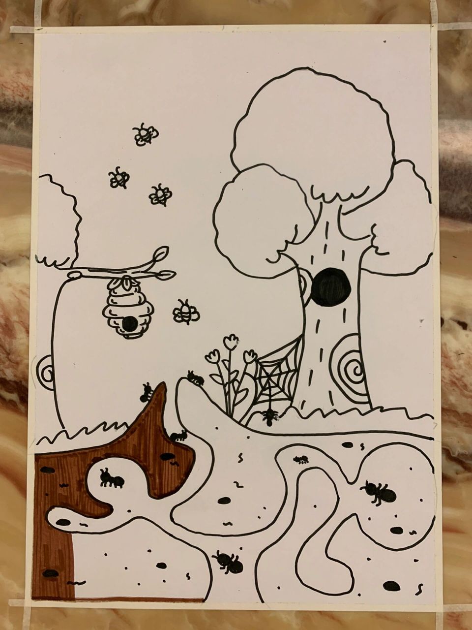 蚂蚁洞,蜂巢洞,树洞… 女儿幼儿园作业关于洞9515……看大多数都