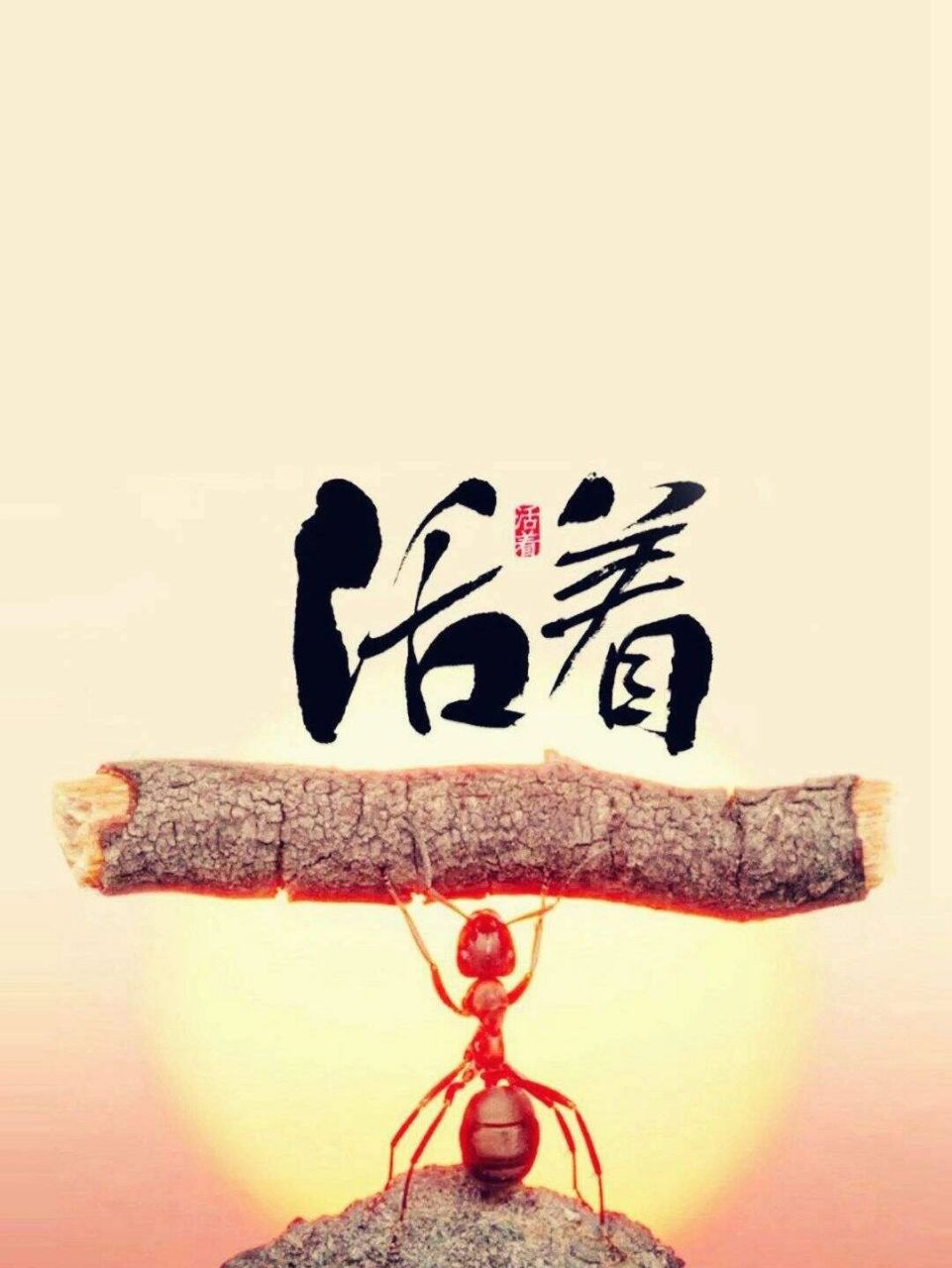 先活着吧 其他我再想想办法