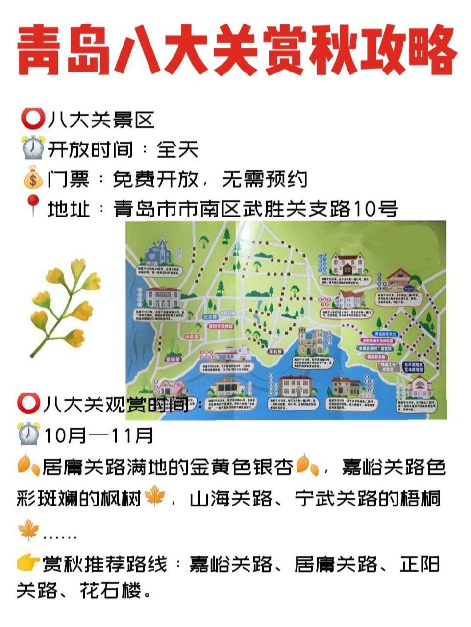 青岛八大关赏秋拍照攻略,游玩路线门票交通 8715八大关景区 74